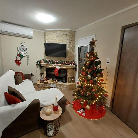 Guesthouse Eirini Porto Germeno エクステリア 写真