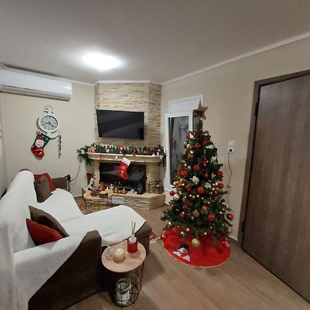 Guesthouse Eirini Porto Germeno エクステリア 写真