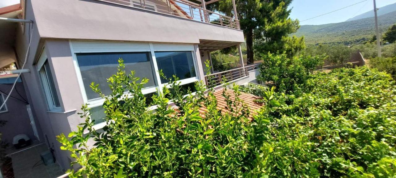 Guesthouse Eirini Porto Germeno エクステリア 写真